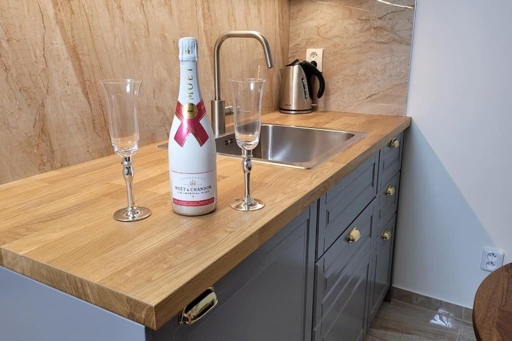 Luxusni Apartman Nedaleko Centra 프라하 외부 사진